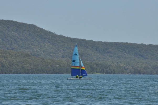 Img 0635